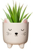 Sass & Belle: Mini Cat Planter on Legs