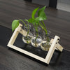 GREENHAVEN 3 Bulb Vase Plant Terrarium with Wooden Stand - Natural