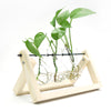 GREENHAVEN 3 Bulb Vase Plant Terrarium with Wooden Stand - Natural