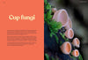 Fungi of Aotearoa by Liv Sisson